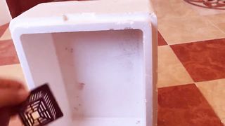 Deep water farming الزراعة فى احواض المياه العميقه