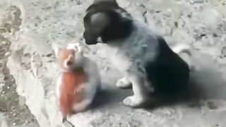 funcat