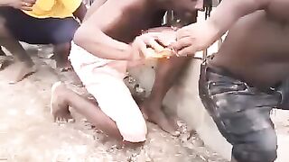 10000000_3388706887941586_5315392999826549600
