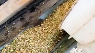 ابدأ مشروعك الان 2024