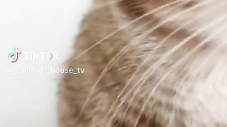 ????????????