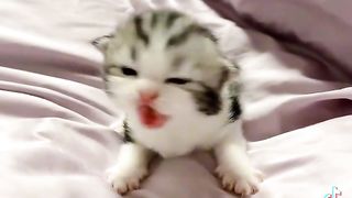 ????????