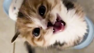 ????????????