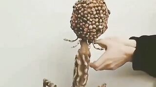 لطلاب البكالوريا. مادة علم الأحياء