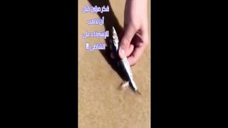 فكر مرتين قبل أن تذهب للإسترخاء على الشاطئ ‼️