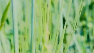 قرآن پاک کی تلاوت سن کرجانا سبسکرائب لازمی کرنا