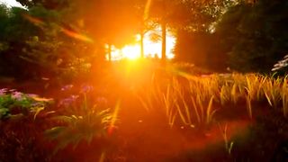 Scenery Video | Beautiful View | Meditation Video | Febspot Video