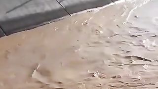 A crane operator saves a calf who fell in a water canal with incredible timing, in Iğdır, Turkey