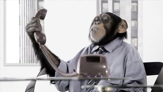 Monkey Business