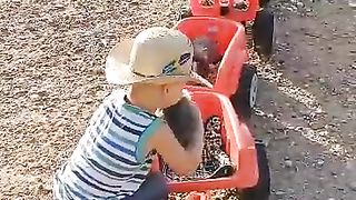 Baby so cut play whith animal ????????????????