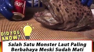 Monster  laut paling berbahaya