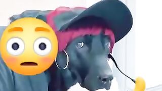 Shabaz shareef funny speach heheh ????????????please subscribe.