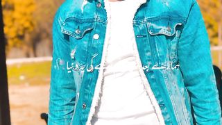 Best picture video