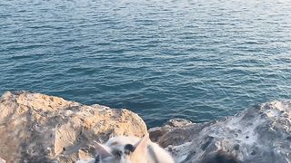 holiday cat????