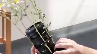 How to take spectacular pictures