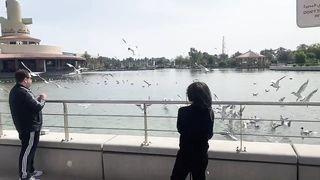 هل جزاء الاحسان الا الاحسان ❤️❤️