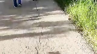 الطبيعه