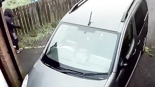 An epic attempt to steal something from a car