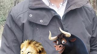 نكتة السبع والثور سهرانين
