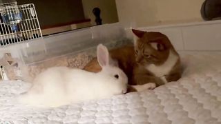 An unlikely friendship ????????
