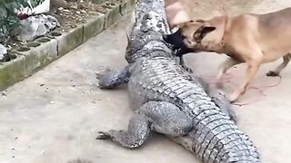 You wouldn't wanna remove the tape right