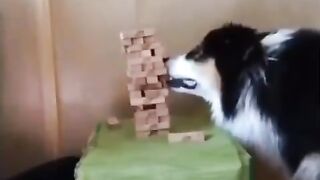 He was so concentrated on his work that for a moment I thought the video paused. ????????