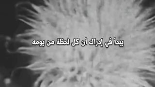 فتح البصيرة يأتي من إتباع خطوات صغيرة
