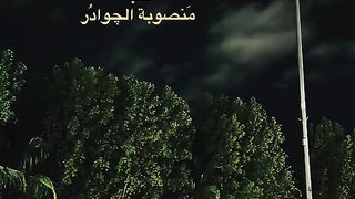 يالي لي