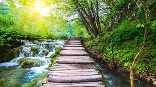 Discover the Serenity: Exploring the Idyllic Pathways of Plitvice National Park, Croatia!