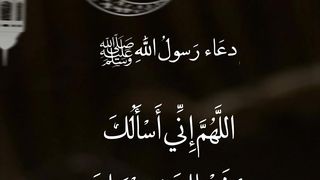 القرأن الكريم