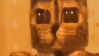 Funny Hilarious Video part1