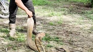 Snak video 2024