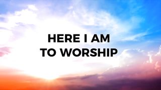 Here I am to worship (LYRICS Hillsong Worship