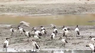 Nature at its best ????
