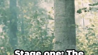5 Stages of Spiritual Awakening Discover Your Stage