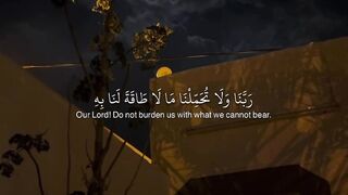 القران الكریم