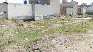 Property sale