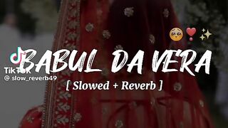 Babul da vera