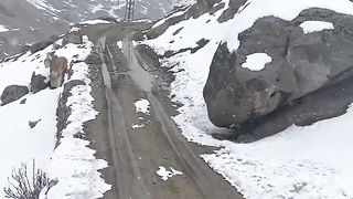 طبيعة
