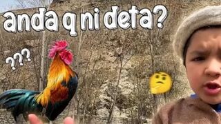 Akhir yea mera murgha anda q nahi detaa ???? shirazi bhai pareshn