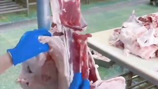 Amazing chefs goats meat usa #chefsfoodusa#Amazinggoatsmeatsusa