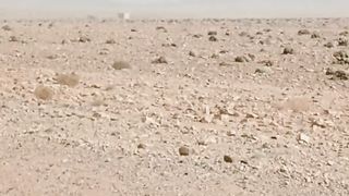 الحدود بين الجزائر والمغرب