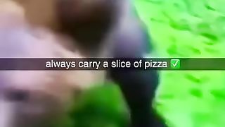 How to defend yourself from the Italian grizzly bear: