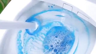 An unusual gadget for cleaning the toilet