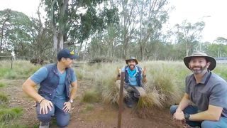 Tasmanian Devil Feeding Frenzy! - in VR180!