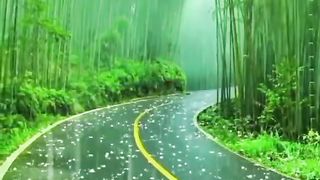 اغاني