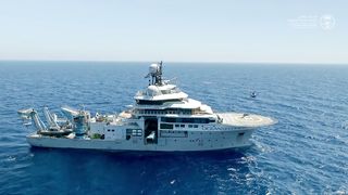 The Search for the Largest Creatures in the Red Sea