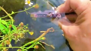 the beauty of nature - You didn't think it was that beautiful #satisfying