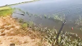 Caught a big fish in a couple of seconds