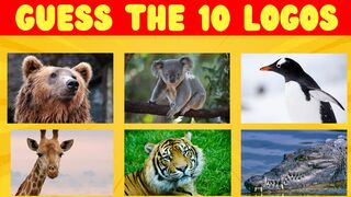 Guess 10 Animals in 3 Seconds | Easy, Medium, Hard, Impossible